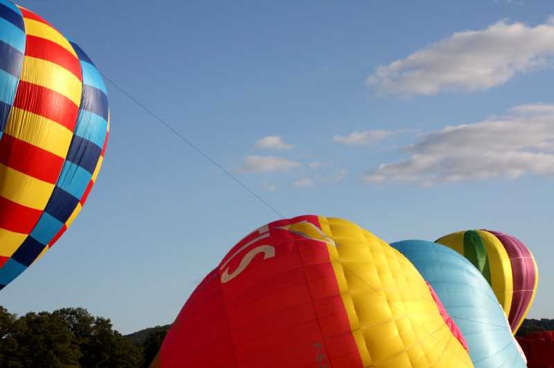 Enlarge IMG_0769.jpg