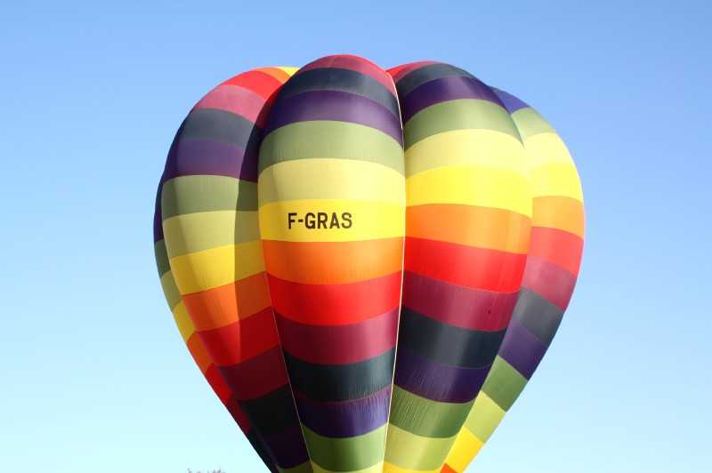 Enlarge IMG_0771.jpg