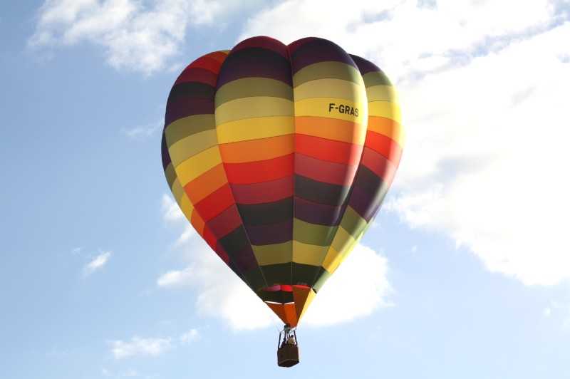 Enlarge IMG_0781.jpg