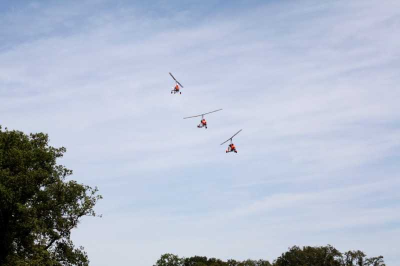 Enlarge IMG_0782.jpg