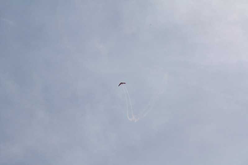 Enlarge IMG_0796.jpg