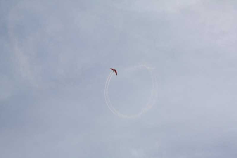 Enlarge IMG_0798.jpg