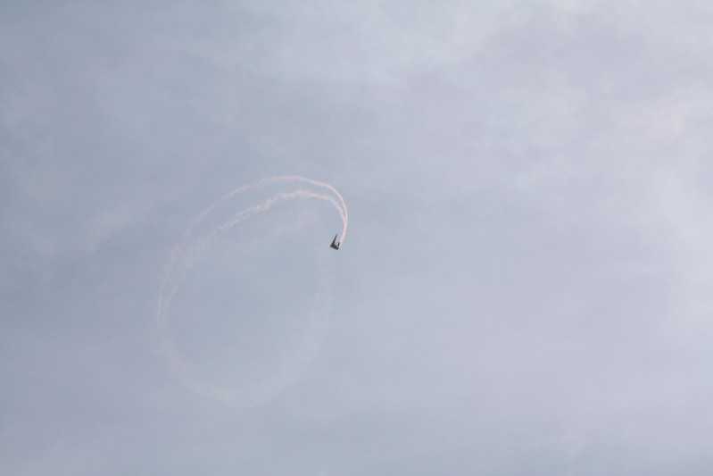 Enlarge IMG_0800.jpg