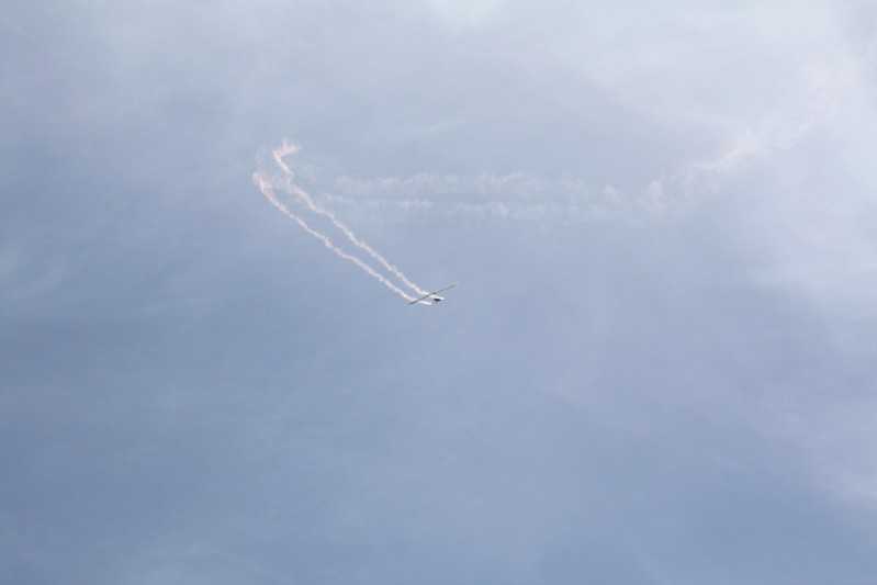 Enlarge IMG_0804.jpg