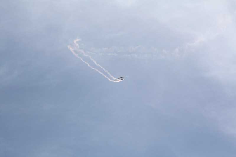 Enlarge IMG_0805.jpg