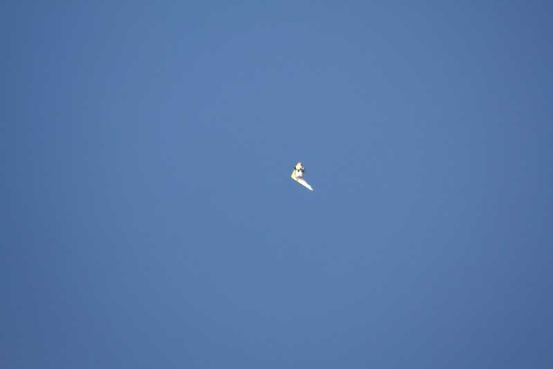 Enlarge IMG_0819.jpg