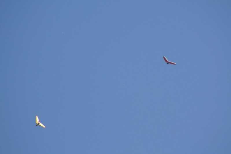 Enlarge IMG_0859.jpg