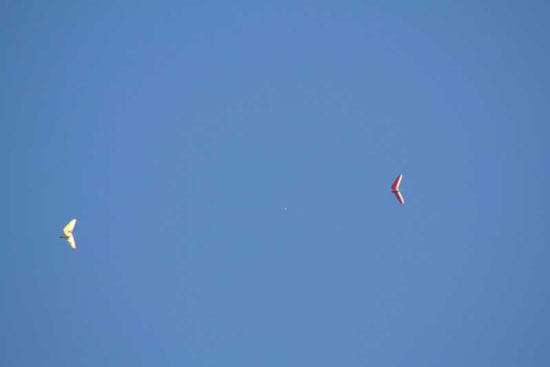 Enlarge IMG_0861.jpg