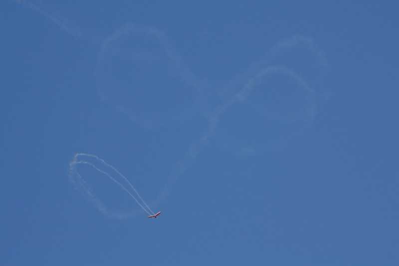 Enlarge IMG_0869.jpg