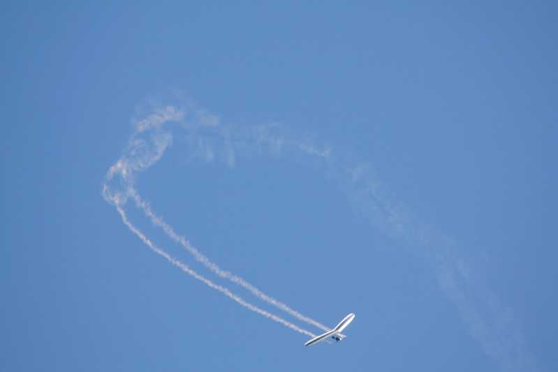 Enlarge IMG_0874.jpg