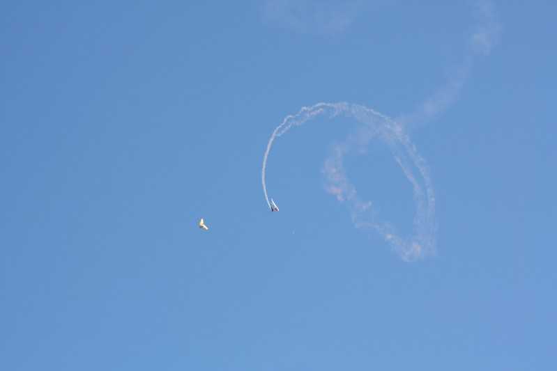 Enlarge IMG_0883.jpg