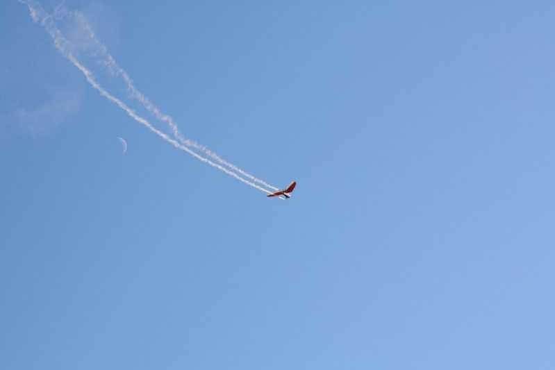 Enlarge IMG_0890.jpg