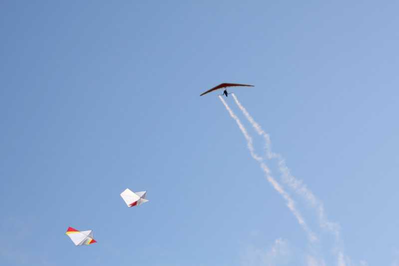 Enlarge IMG_0892.jpg