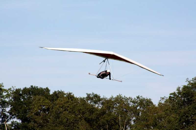 Enlarge IMG_0895.jpg