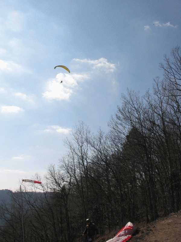 Enlarge argnetat_130305_003.jpg