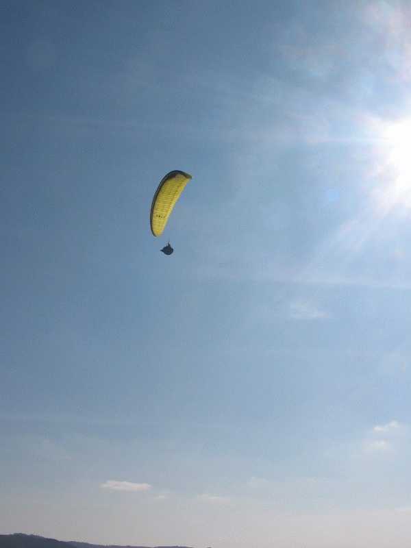 Enlarge argnetat_130305_007.jpg