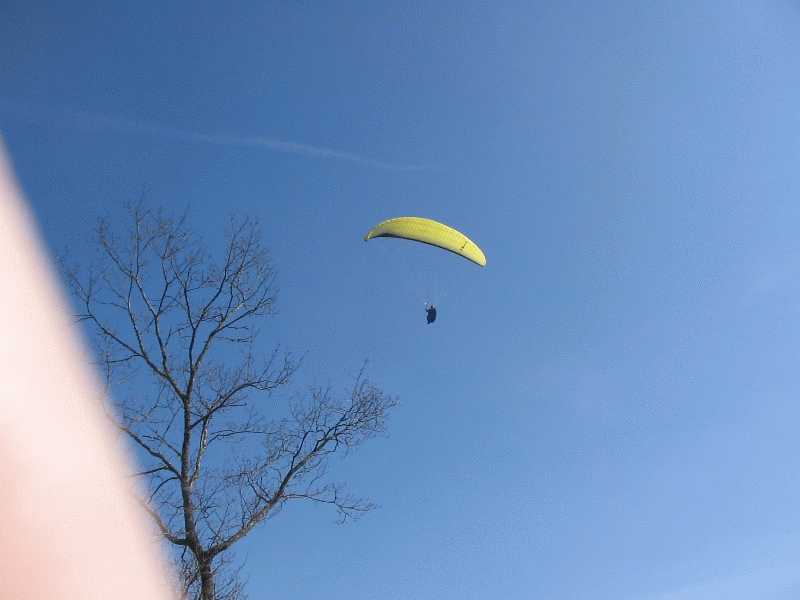 Enlarge argnetat_130305_008.jpg