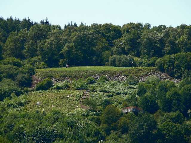 Enlarge P1000478.jpg