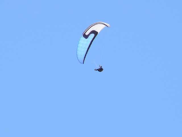 Enlarge P1000480.jpg