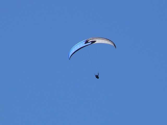 Enlarge P1000481.jpg