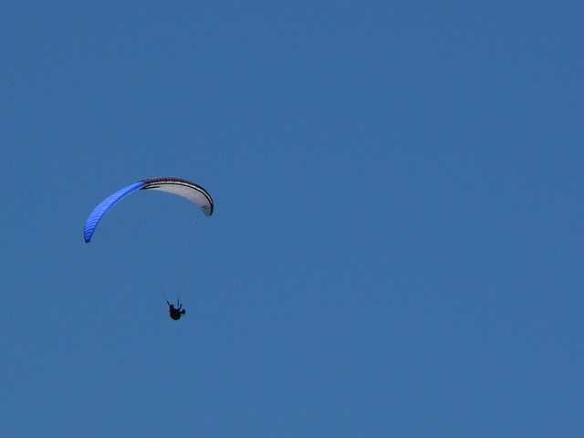 Enlarge P1000486.jpg