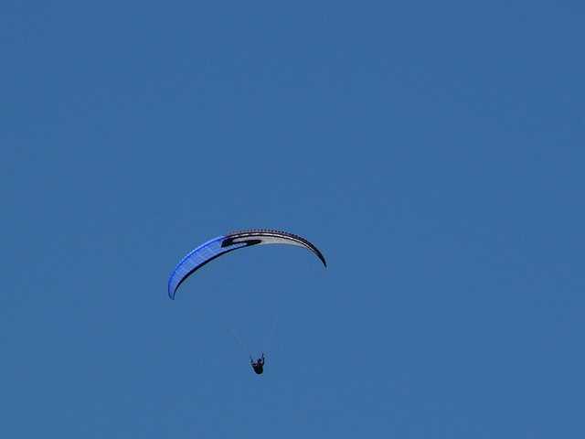 Enlarge P1000487.jpg