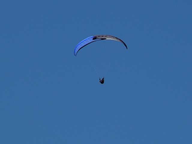 Enlarge P1000488.jpg