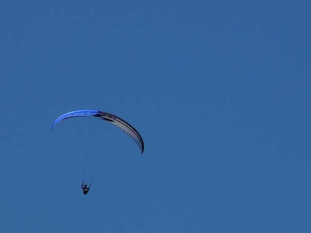 Enlarge P1000489.jpg