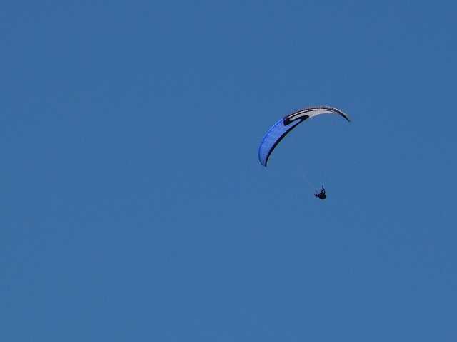 Enlarge P1000491.jpg