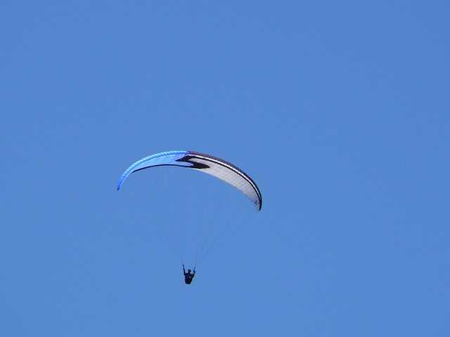 Enlarge P1000494.jpg