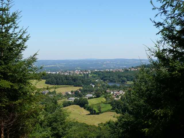 Enlarge P1000495.jpg