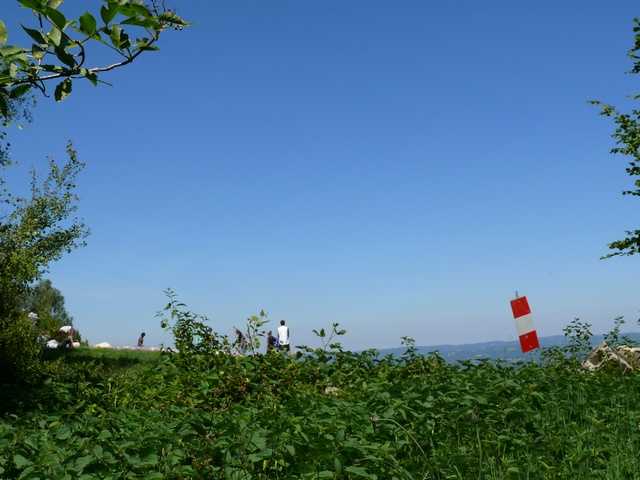 Enlarge P1000499.jpg