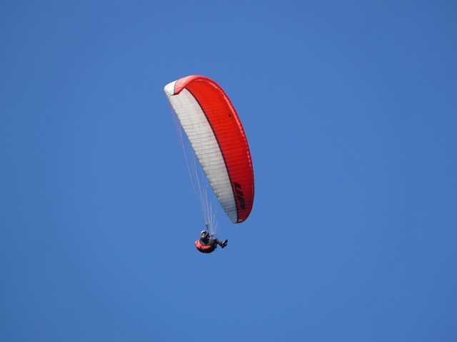 Enlarge P1000502.jpg