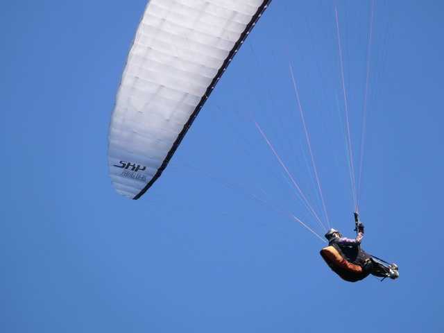 Enlarge P1000503.jpg