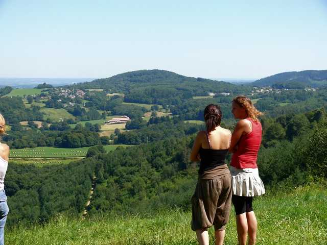 Enlarge P1000519.jpg