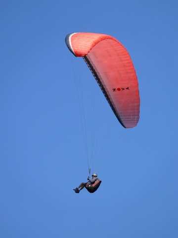 Enlarge P1000525.jpg