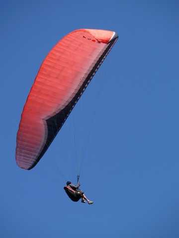 Enlarge P1000526.jpg