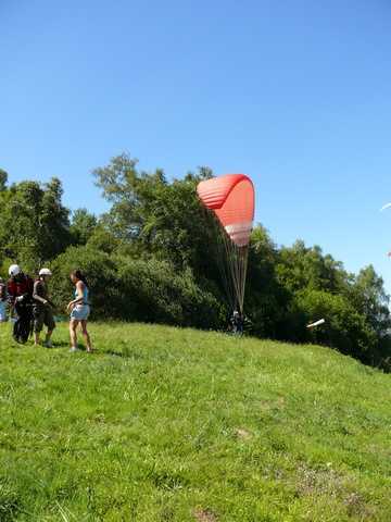 Enlarge P1000528.jpg