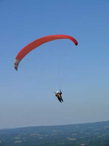 Enlarge P1000529.jpg