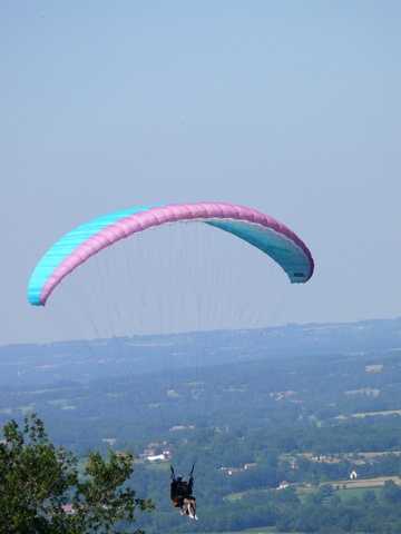 Enlarge P1000531.jpg