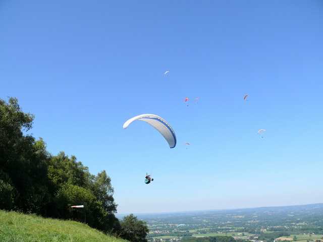 Enlarge P1000533.jpg