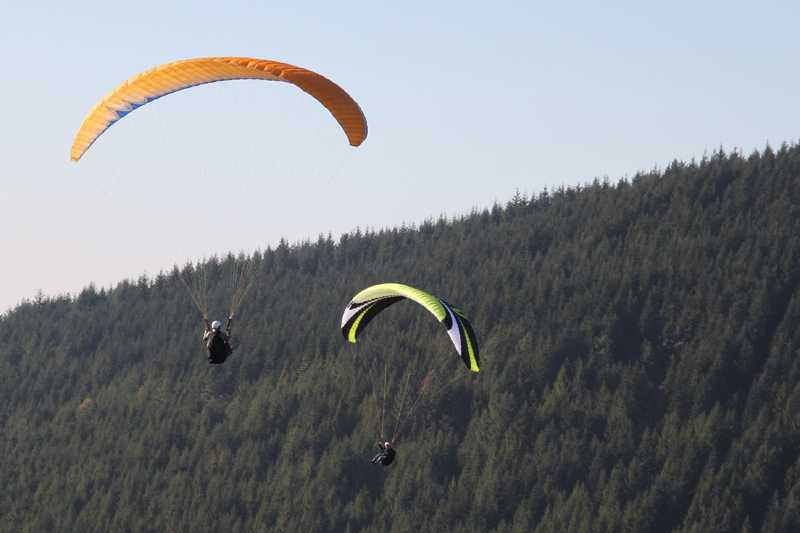 Enlarge IMG_6193.jpg