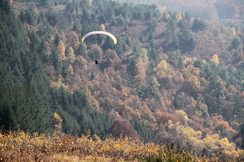 Enlarge IMG_6195.jpg