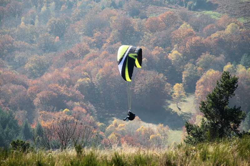 Enlarge IMG_6206.jpg