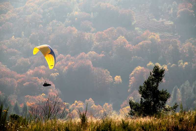 Enlarge IMG_6231.jpg