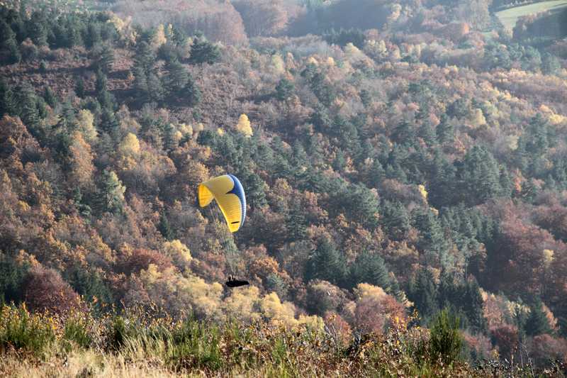 Enlarge IMG_6237.jpg