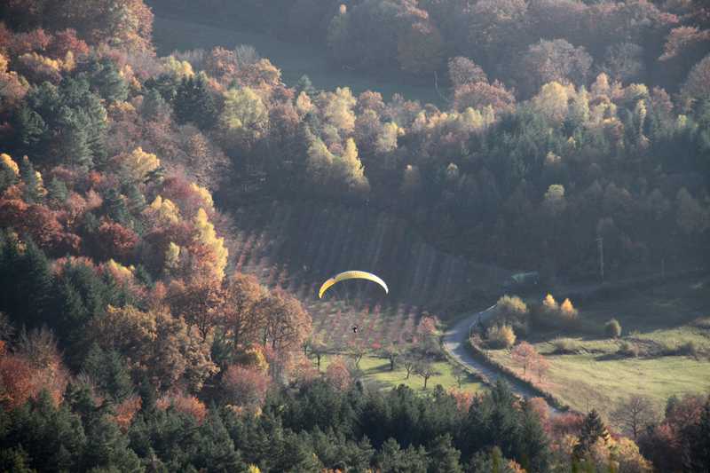 Enlarge IMG_6246.jpg