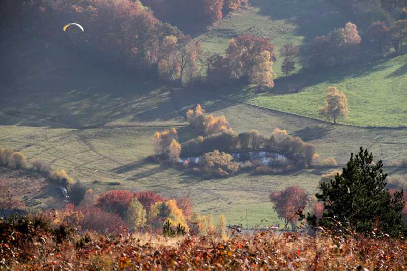 Enlarge IMG_6248.jpg