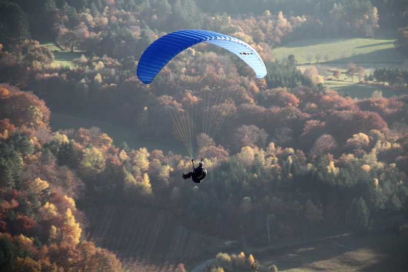 Enlarge IMG_6278.jpg