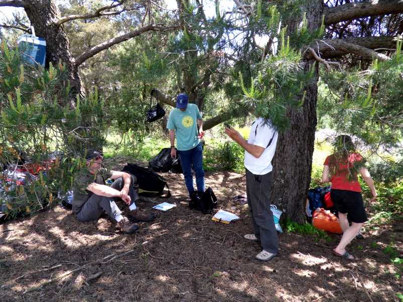 Enlarge SDC10038.JPG